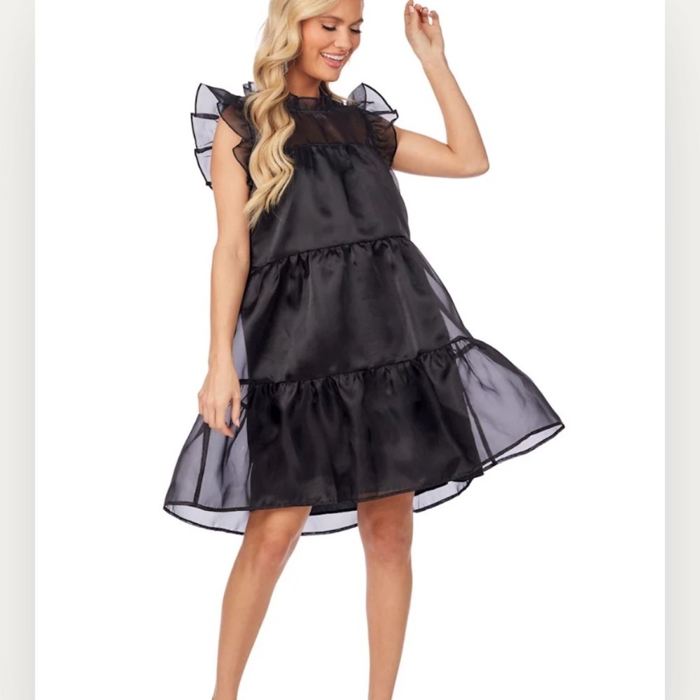 Mud Pie Black Sheer Ruffle Sleeve Tired Babydoll Whimsigoth Holiday Mini Dress